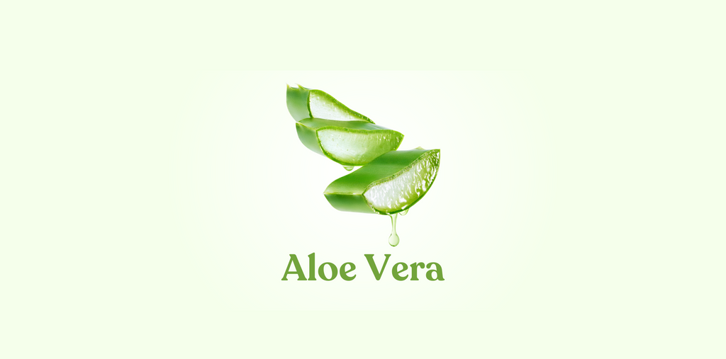 aloe-vera